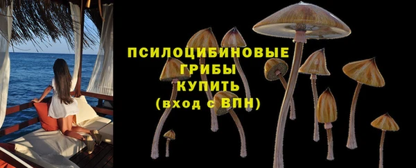дживик Арсеньев