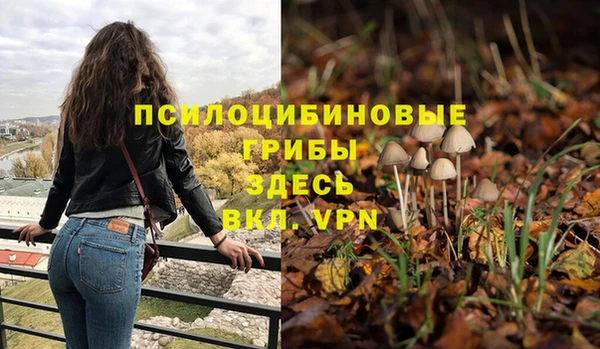 экстази Сковородино