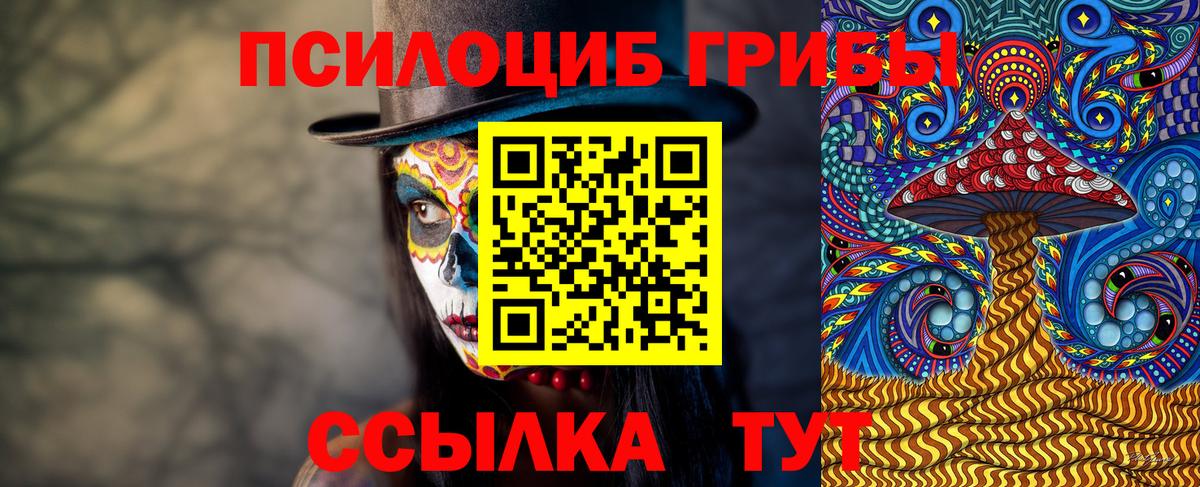Юрга  Псилоцибиновые грибы GOLDEN TEACHER  Вход с VPN  Галлюциногенные грибы прущие грибы 