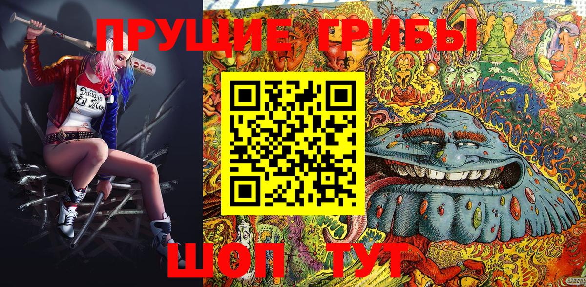 Псилоцибиновые грибы Cubensis Юрга